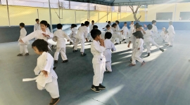 Karatê 